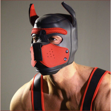 PUPPY HOOD RED