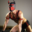 PUPPY HOOD RED