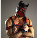 PUPPY HOOD RED