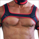 HARNESS BLACK/RED