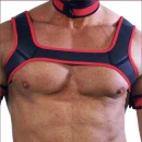 HARNESS BLACK/RED