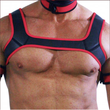 HARNESS BLACK/RED