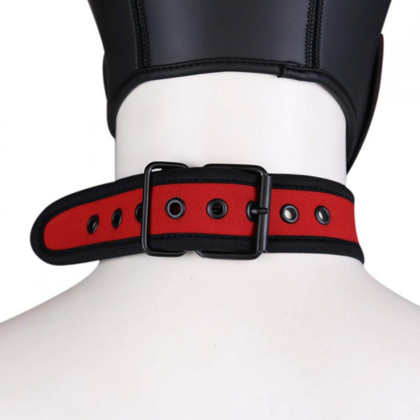 Collier Puppy Rouge