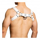 HARNAIS CHEST BLANC