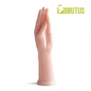 Handsome five fingers