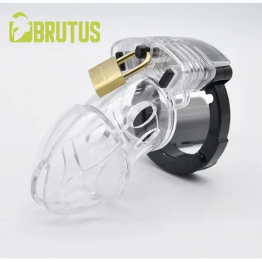 CHASTITY CAGE ALPHA