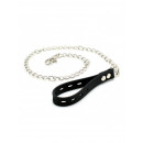 Collier + laisse