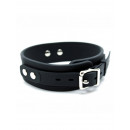 Collier + laisse