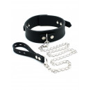 Collier + laisse