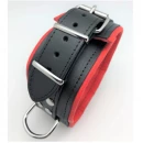 Collier cuir rembourré