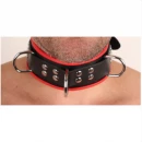 Collier cuir rouge
